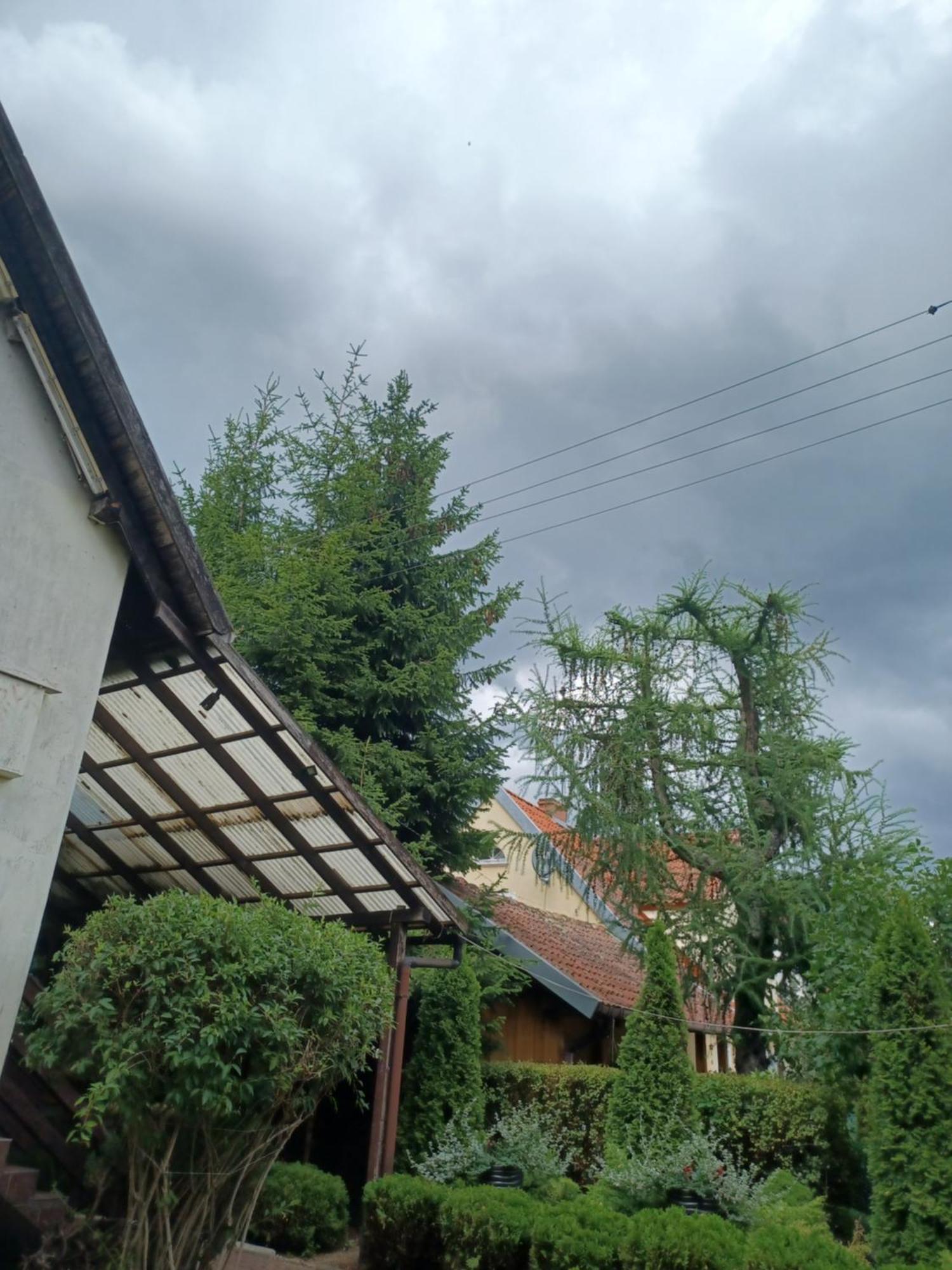 Apartamenty, Pokoje, Noclegi Pracownicze " Skarpa" Wilkasy Esterno foto
