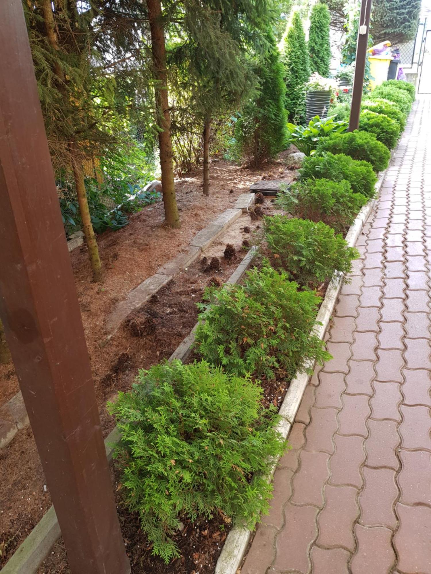 Apartamenty, Pokoje, Noclegi Pracownicze " Skarpa" Wilkasy Esterno foto